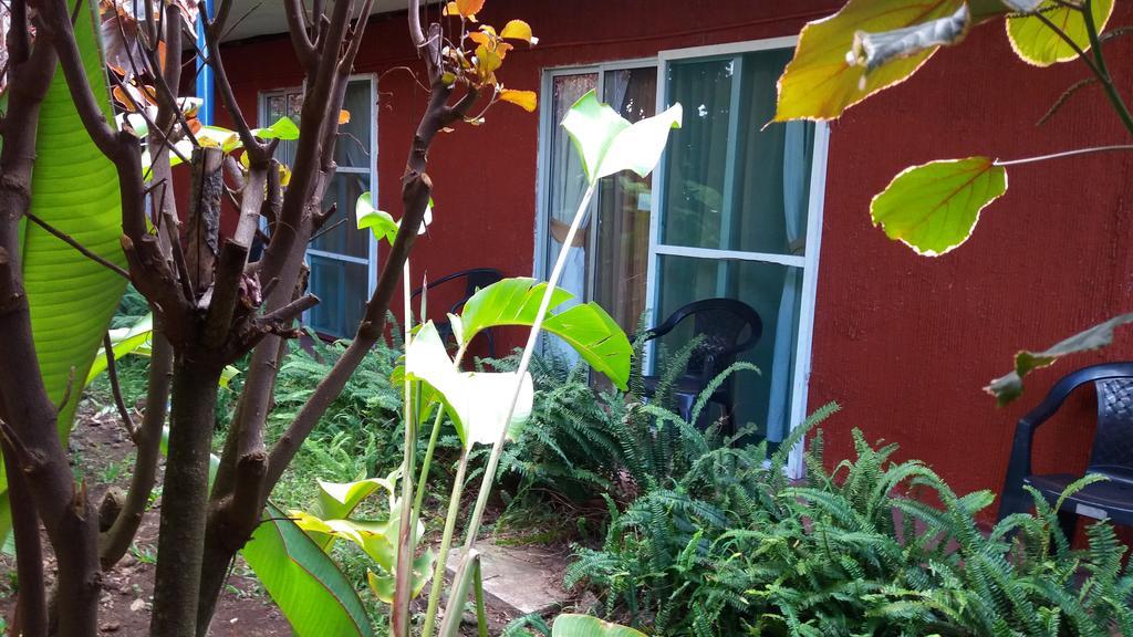 Tupa Hotel Hanga Roa Ngoại thất bức ảnh